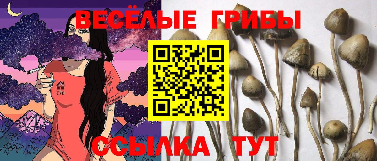 Cocaine Великие Луки