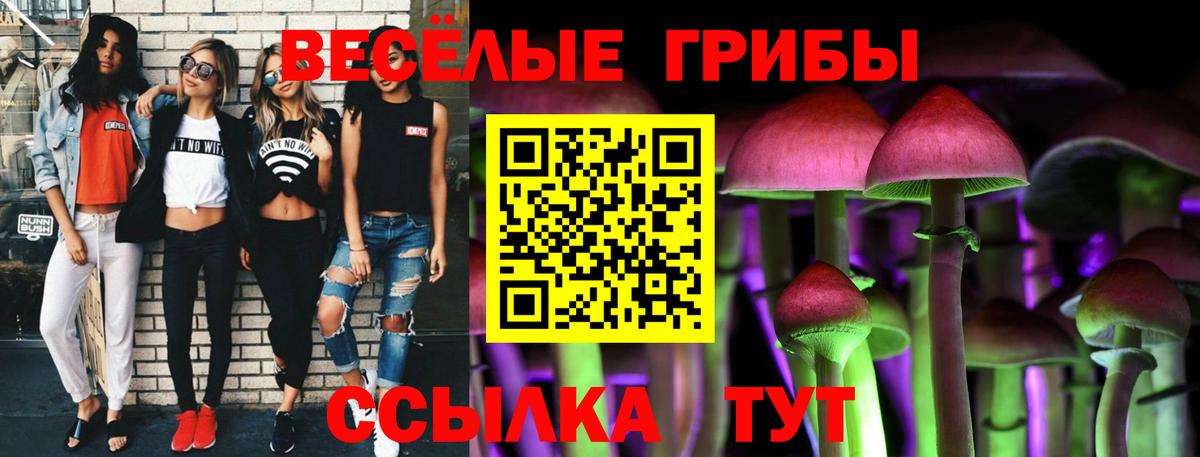Галлюциногенные грибы GOLDEN TEACHER  Вход с VPN  Великие Луки 